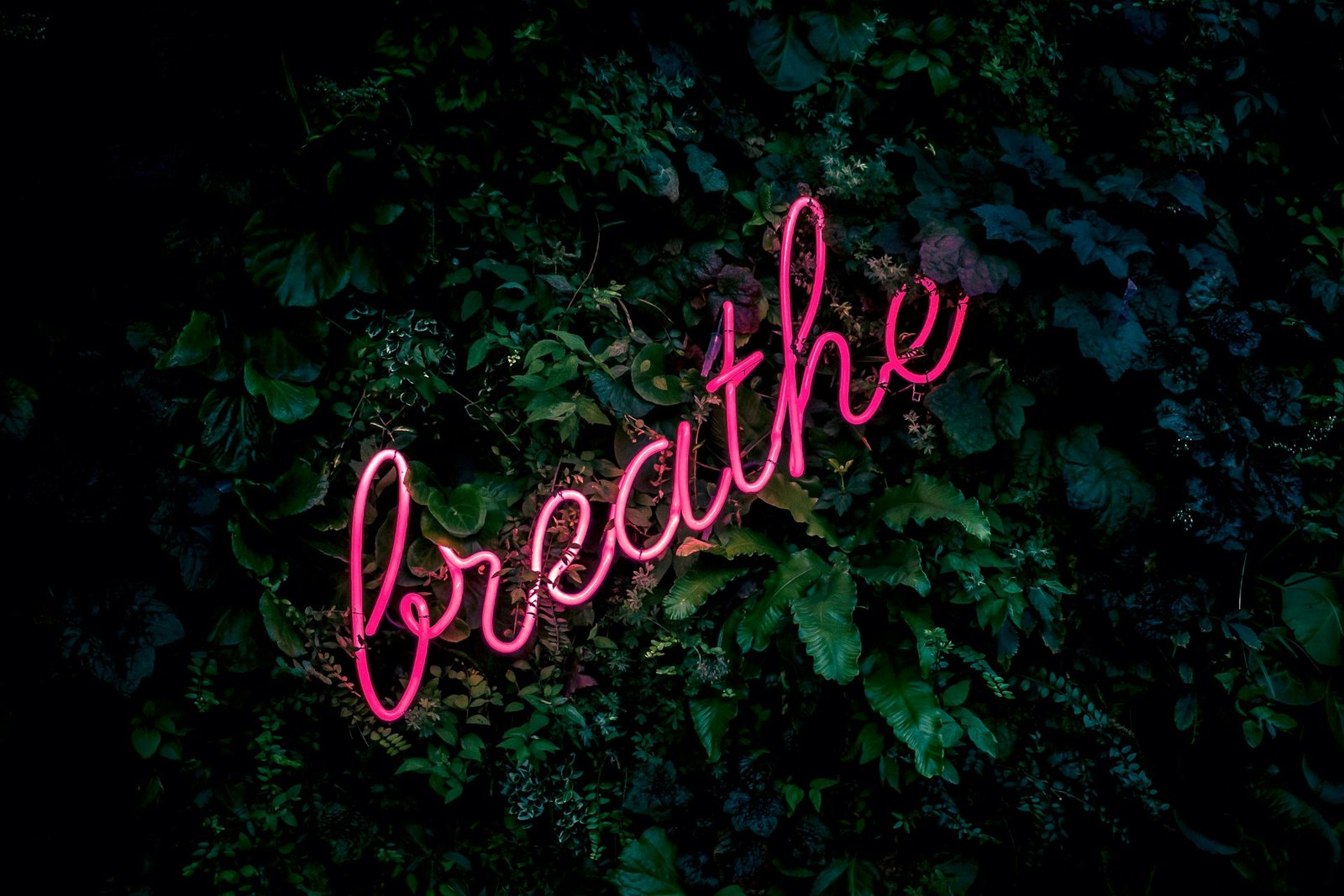 breathe Wellness Workshop with Grant Baldwin