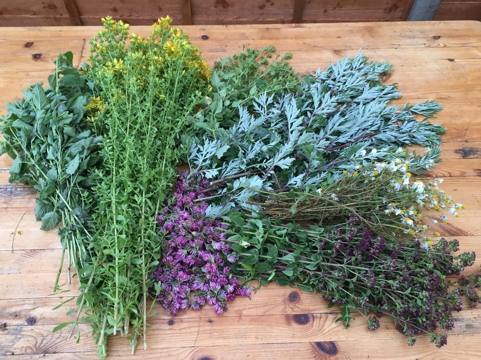 herbs Wellness Workshop with Grant Baldwin
